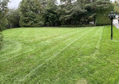 Lawn Care and Garden Maintenance Services in Canada