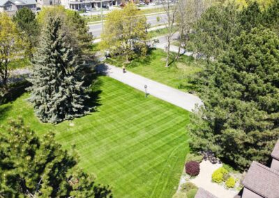 Garden Maintenance, Superior Lawn Care, Lawn Maintenance, and Seasonal Cleanups in Bowmanville, Oshawa, Whitby and Ontario