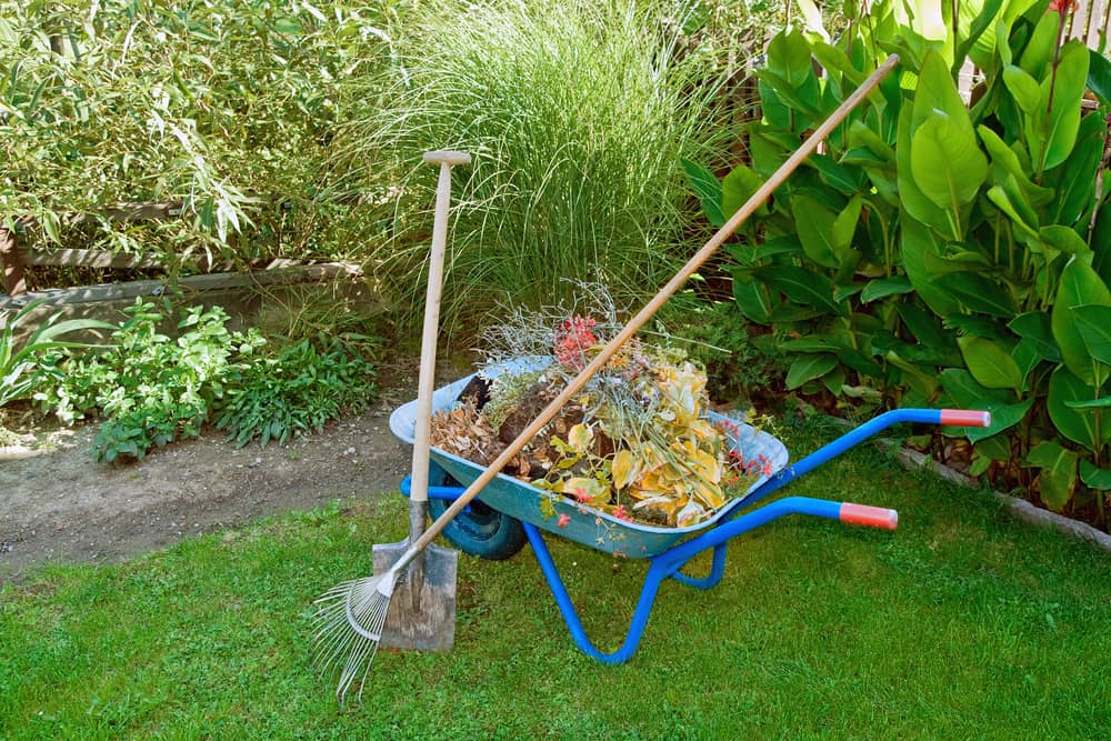 Wheelbarrow with yard rubbish