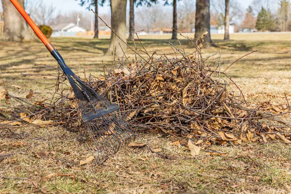 Raking together a pile of sticks in a yard