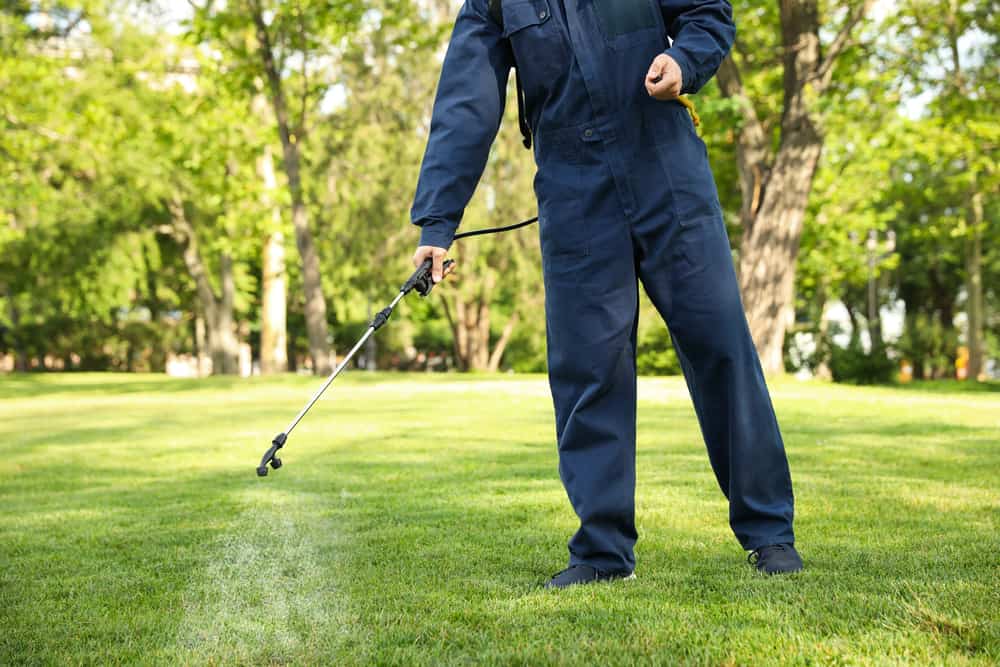 worker spraying a lawn