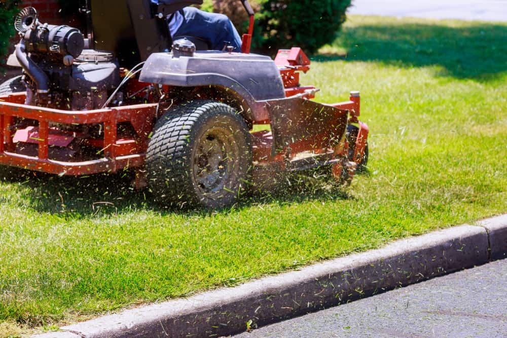 Lawn, Lawn Time