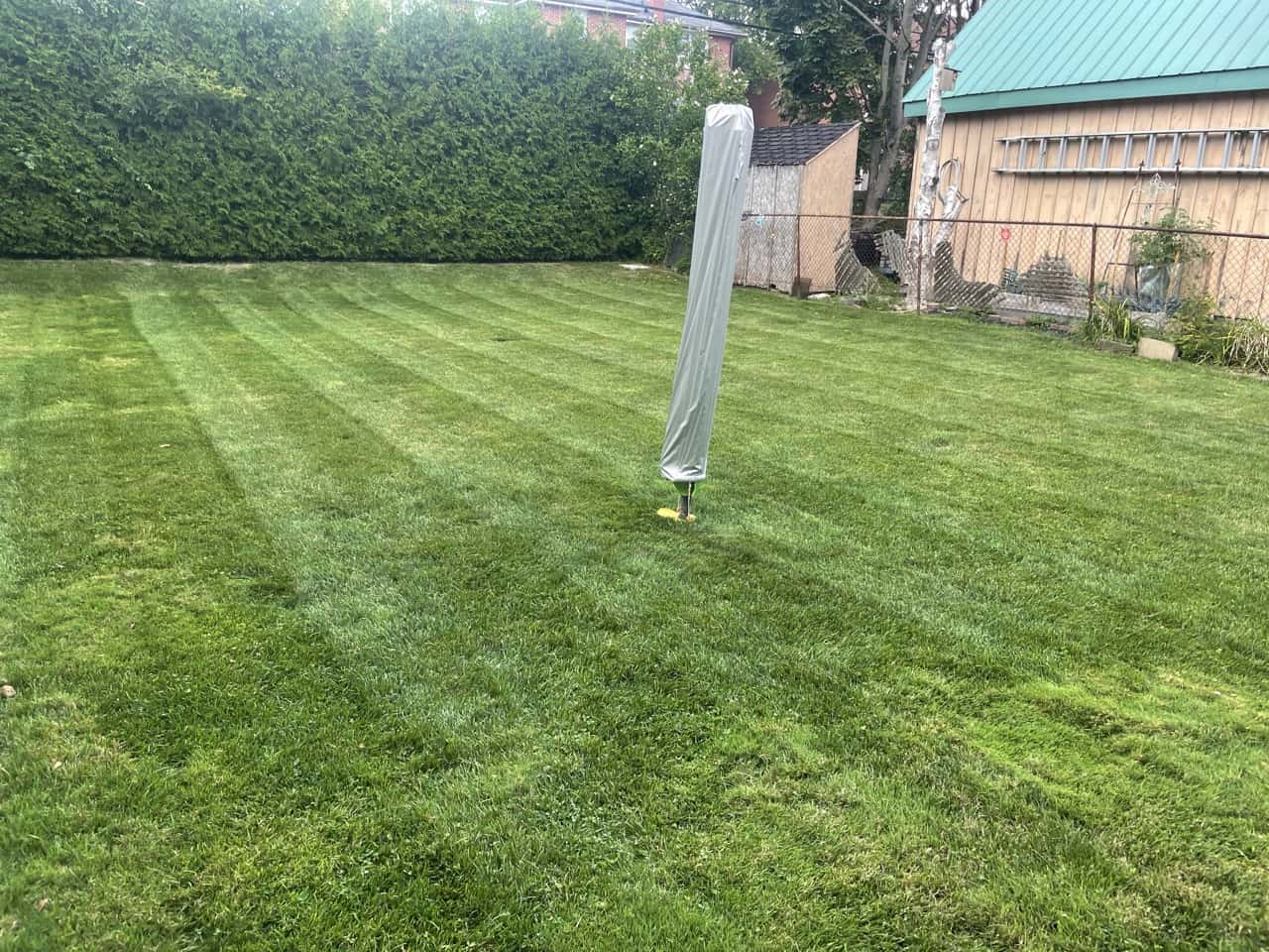 Want a lush, green lawn on your Bowmanville or Oshawa, Ontario property? Call Mr. Trim to ask what fertilizer can do for your lawn! 