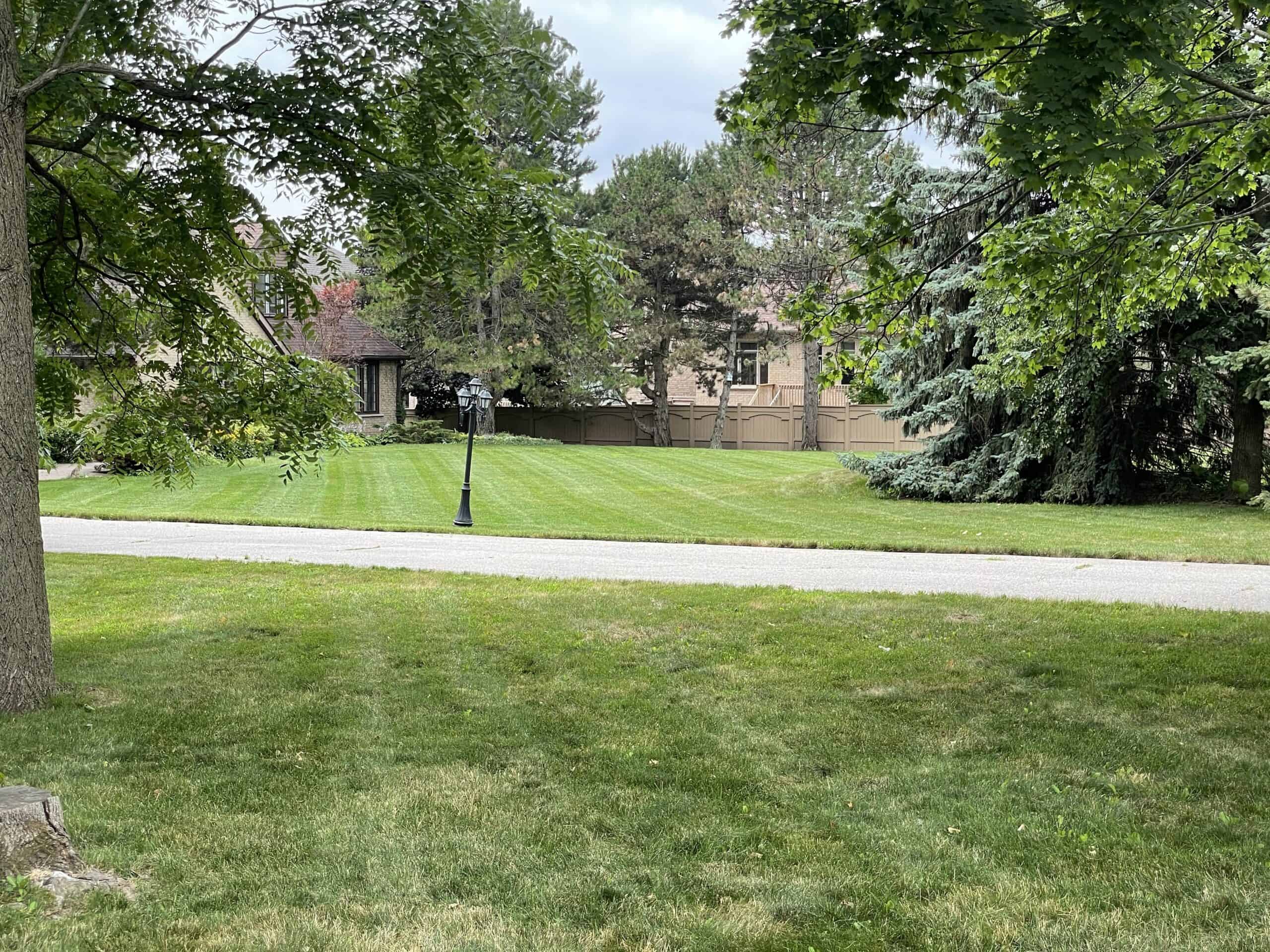 a lush green fertilized lawn with a small walkway running through the middle