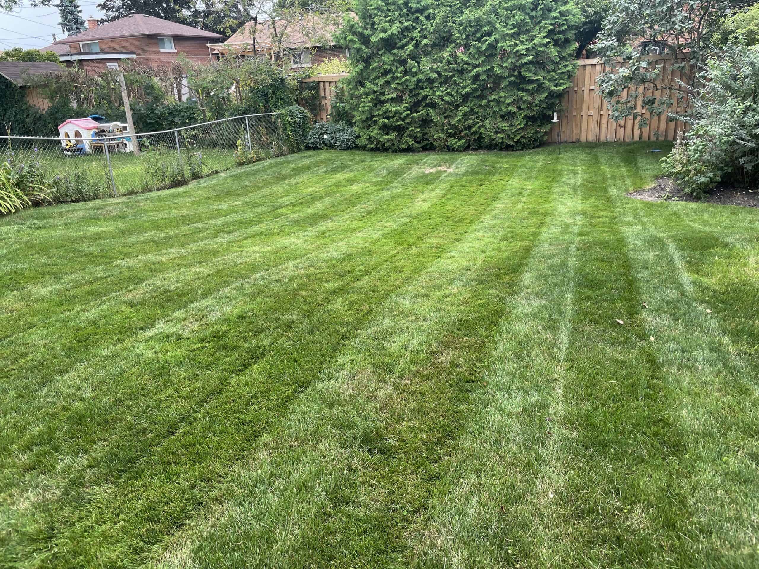 Mowing in Ontario ensures safe and appealing lawns for local homes and businesses