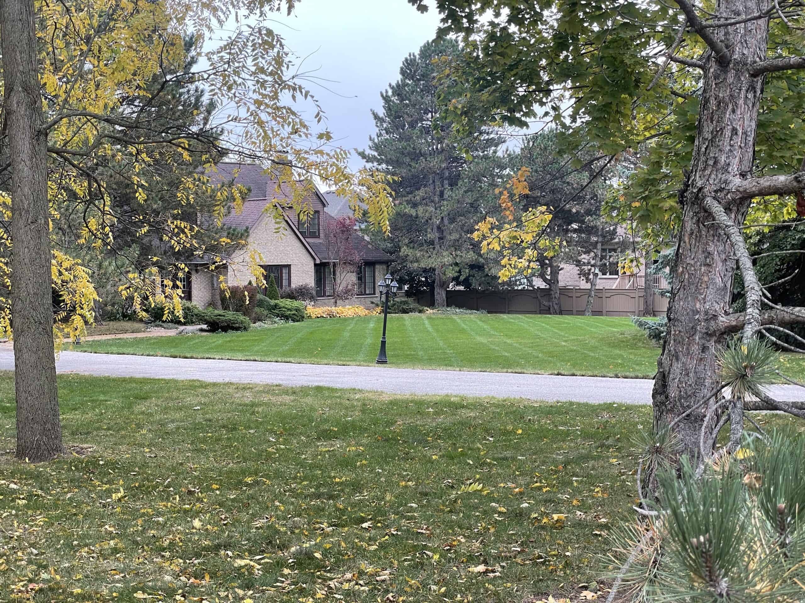 an unfertilized lawn separated from a fertilized lawn by a narrow path