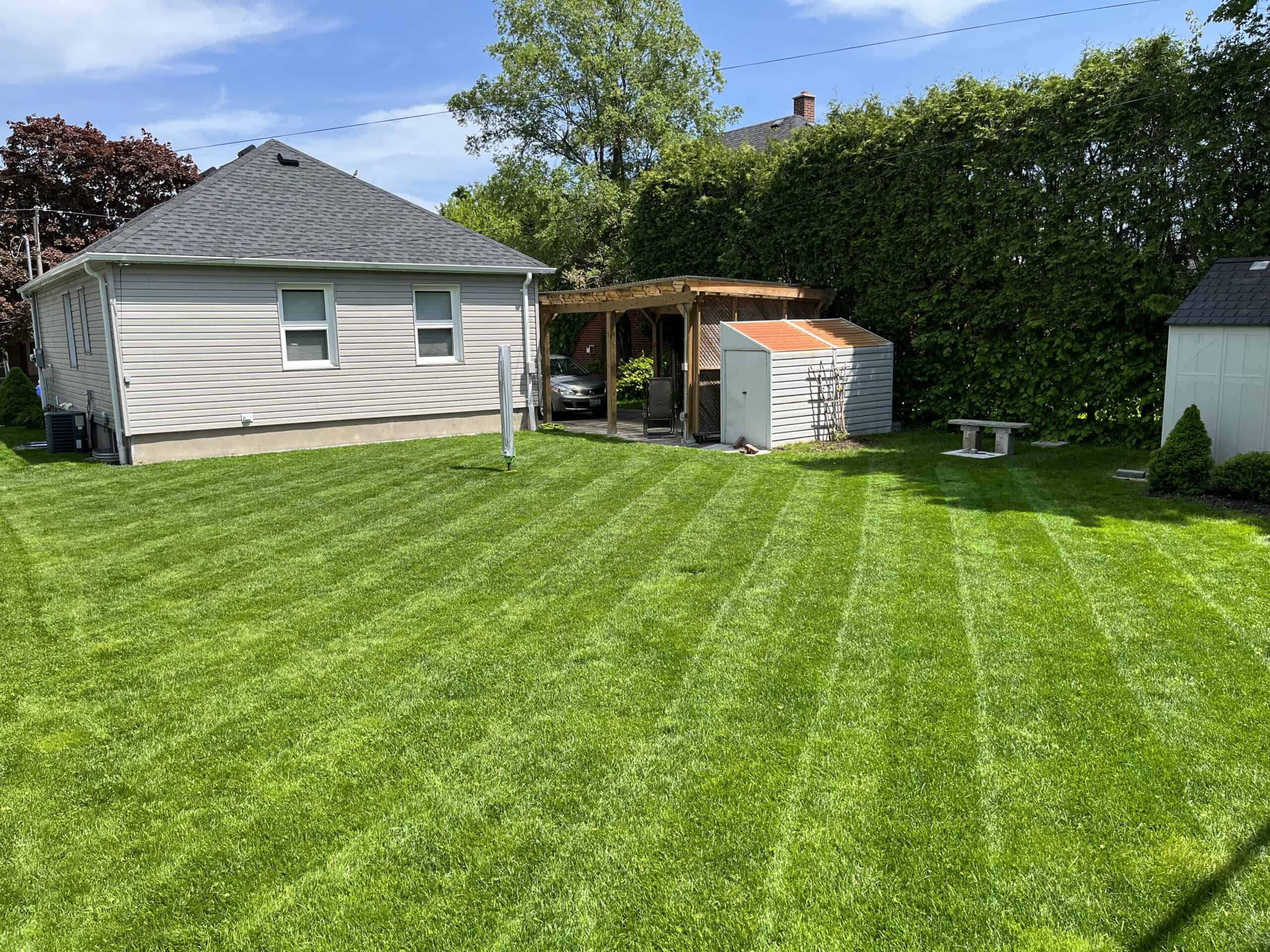 a large green lawn with diagonal mowing tracks leading to a house, shed, and pergola