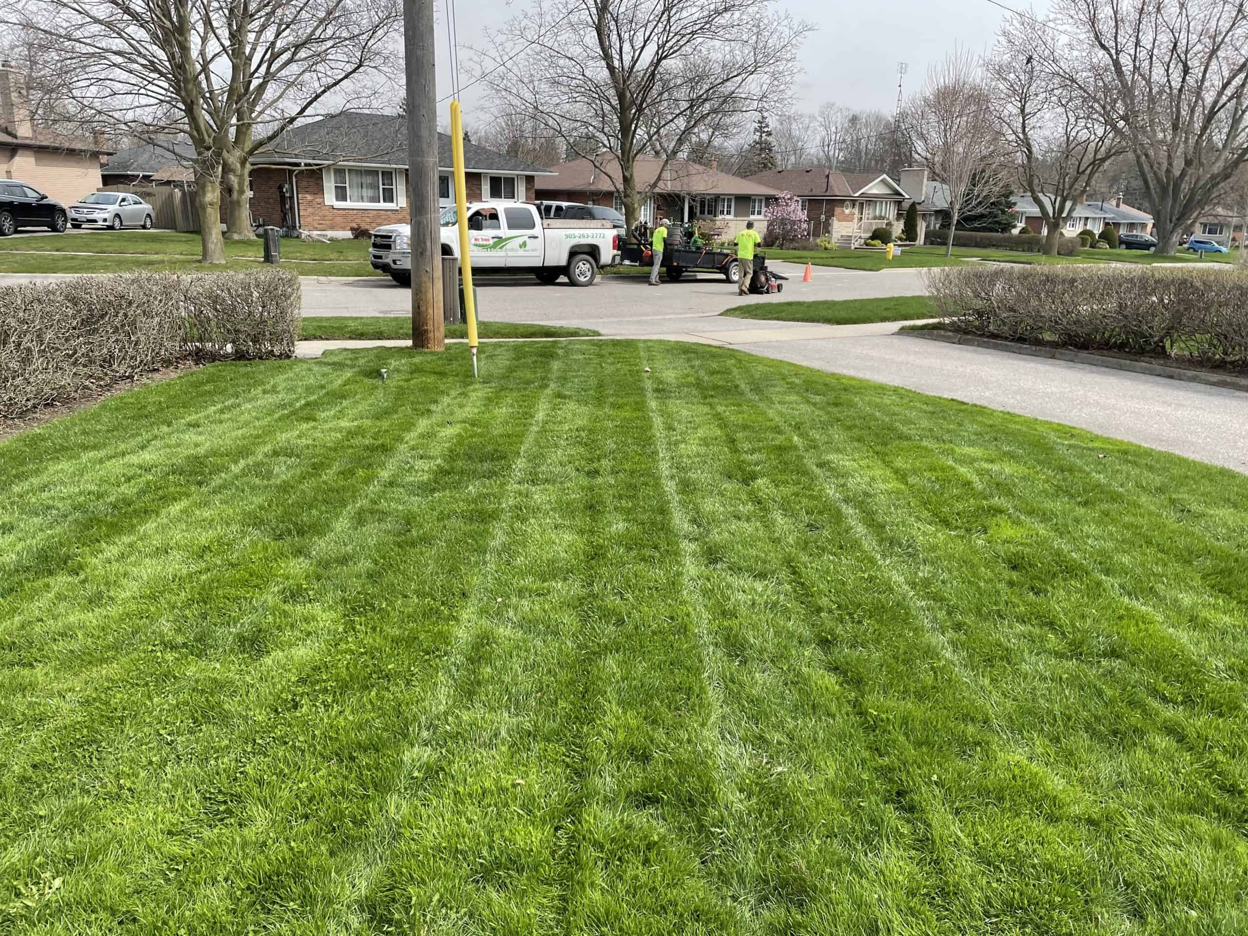 a lush lawn with diagonal mowing lines produced by professional landscapers loading equipment into a white truck across the street