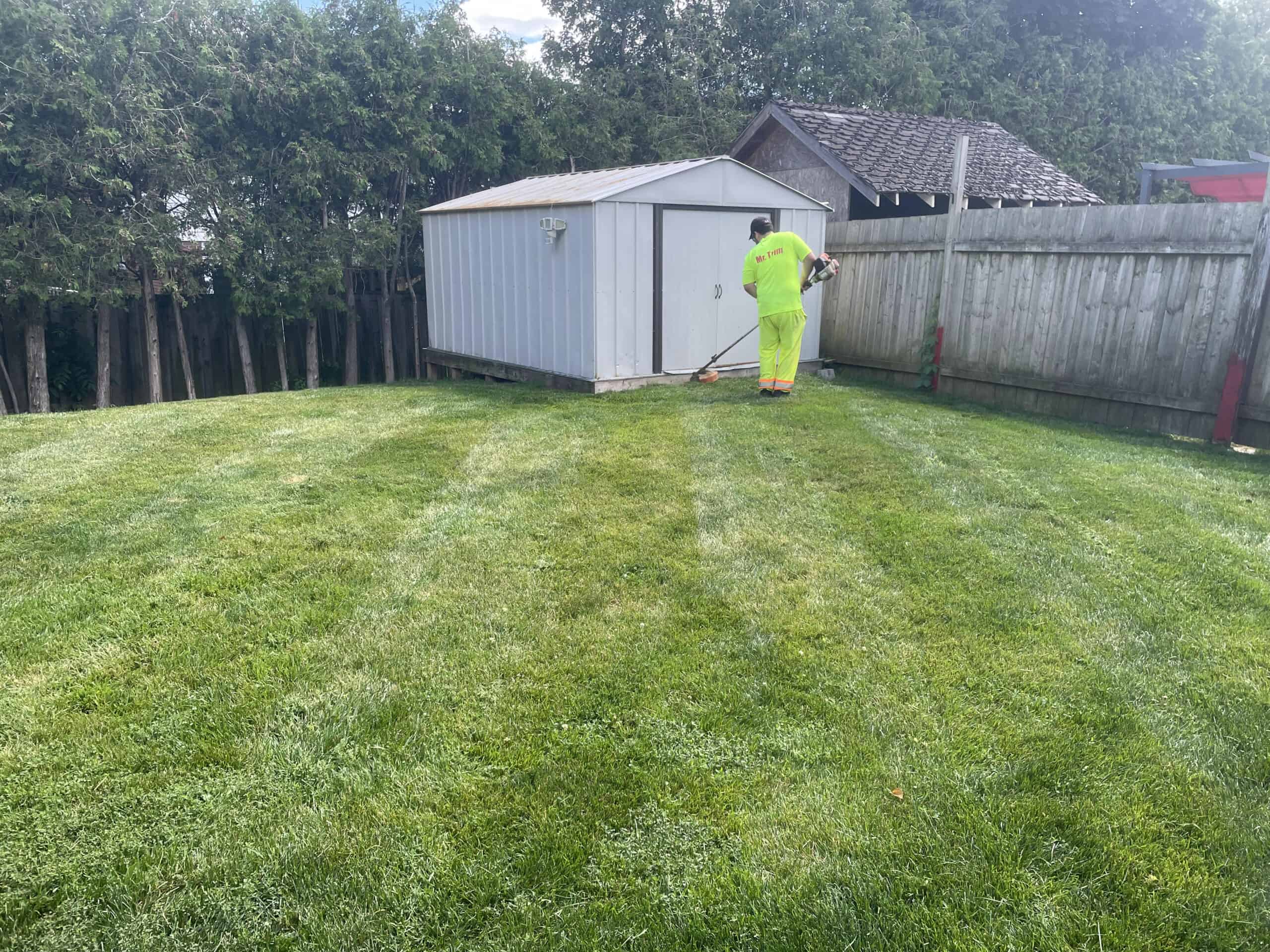 Lawn care with fertilizer