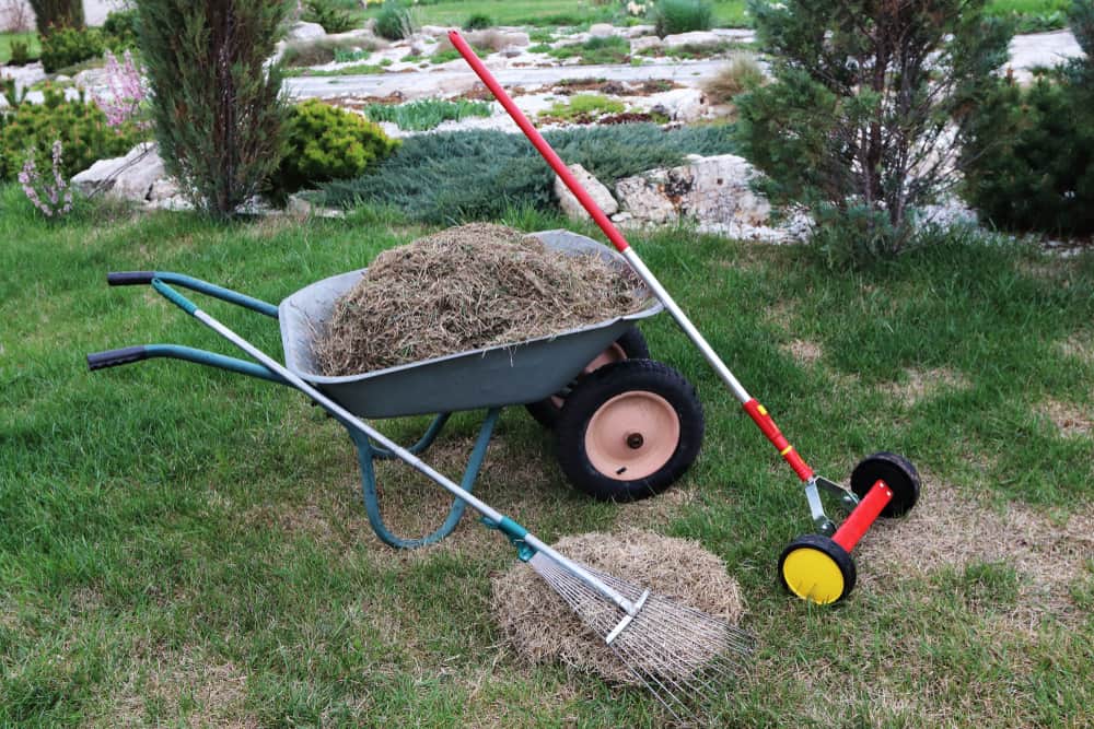 Best Time to De-Thatch Lawns in Bowmanville, Oshawa, and Whitby, Ontario