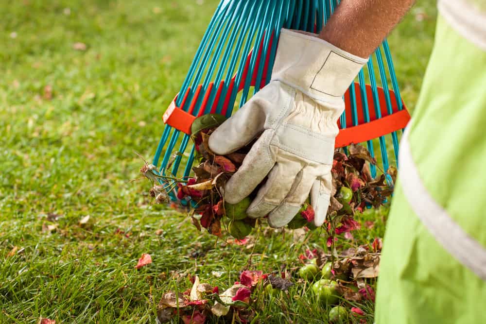 Ontario gardens and flowerbeds grow better after professional fall cleanups