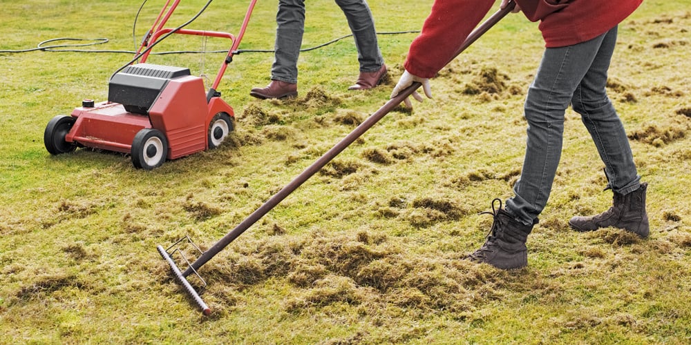 Schedule professional de-thatching to ensure thorough lawn maintenance in Ontario