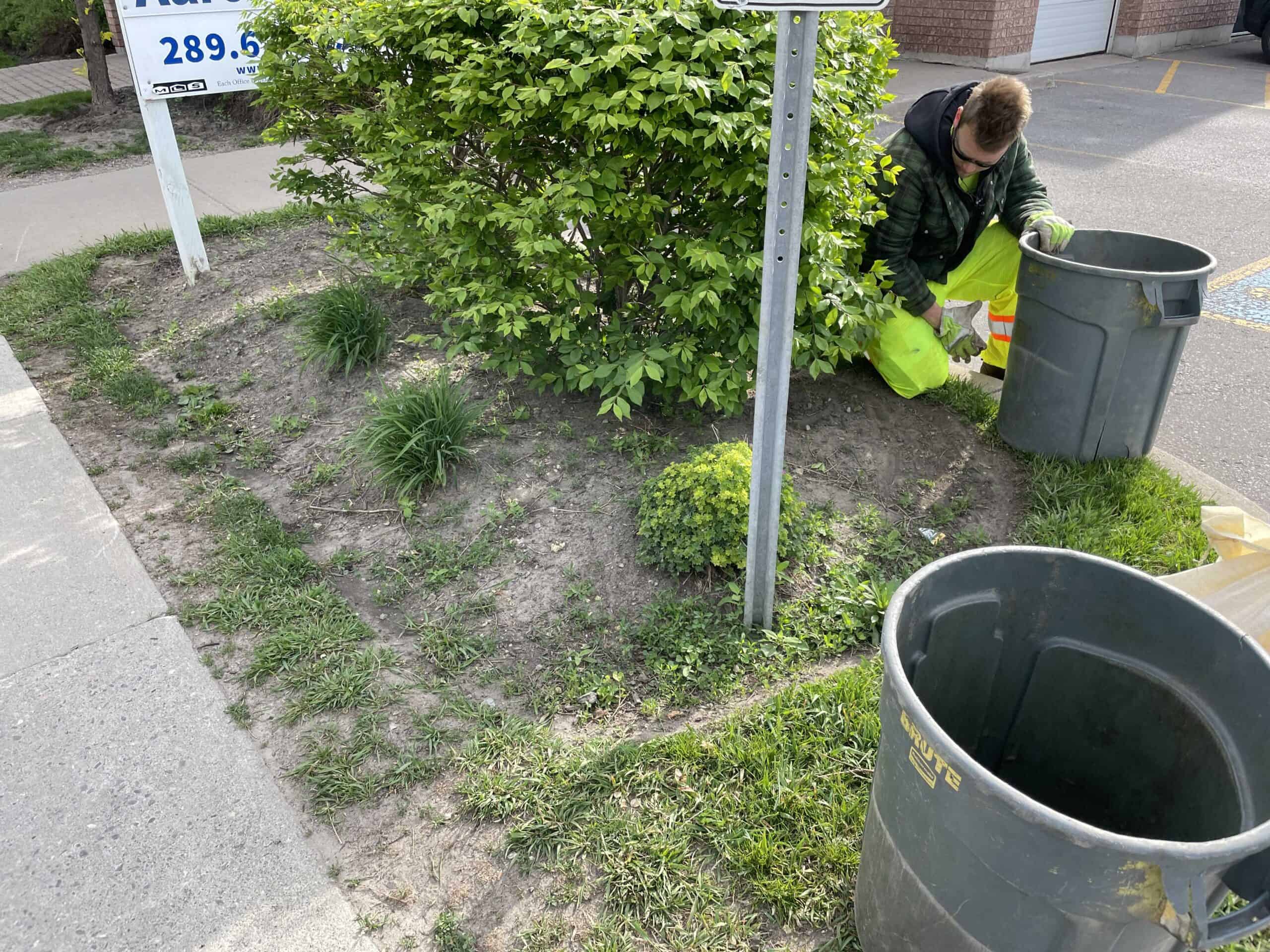 Weed control strategies help simplify garden maintenance and lawn care in Ontario