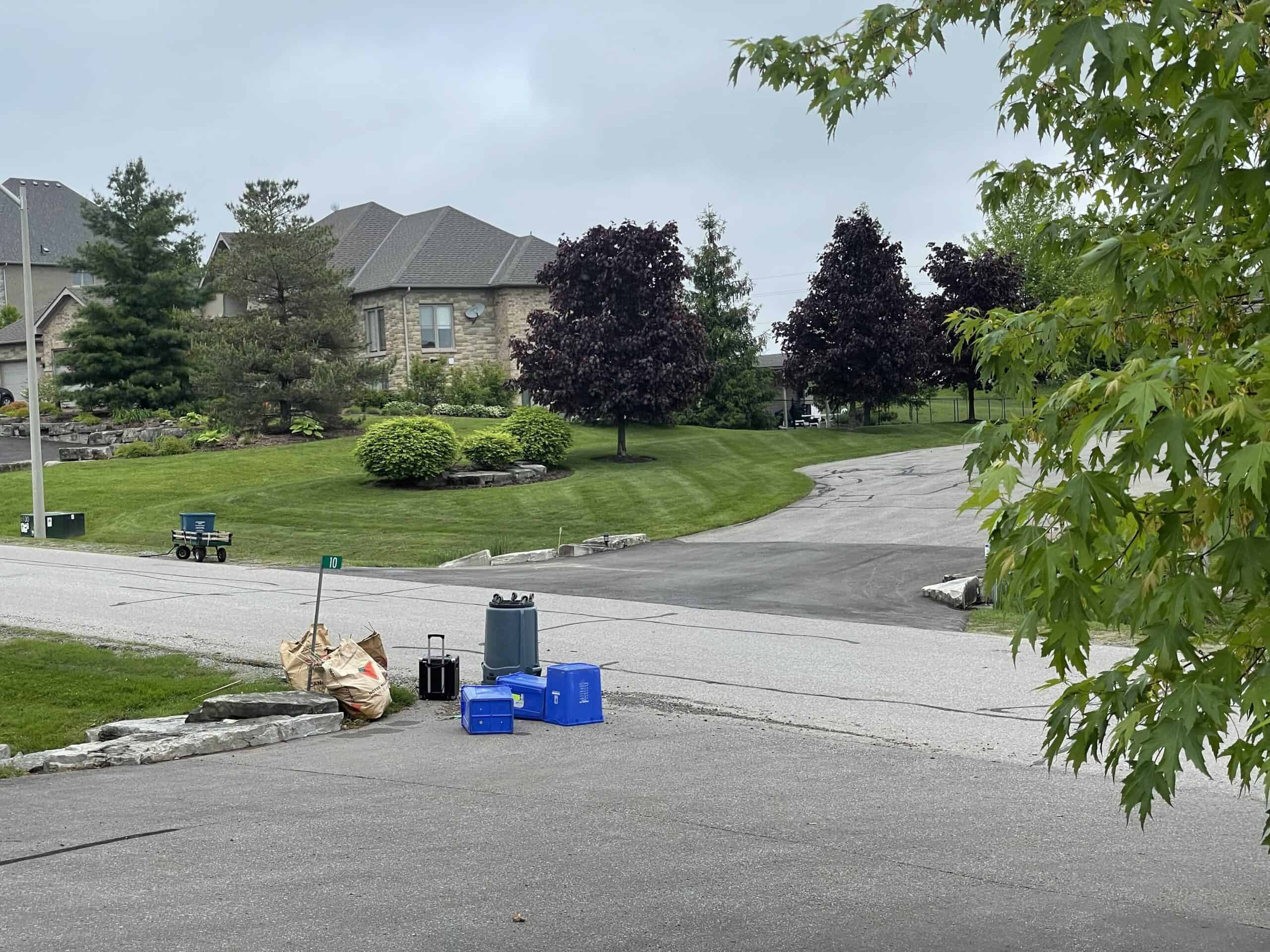 Professional weed control services boost curb appeal and turn homes into communities