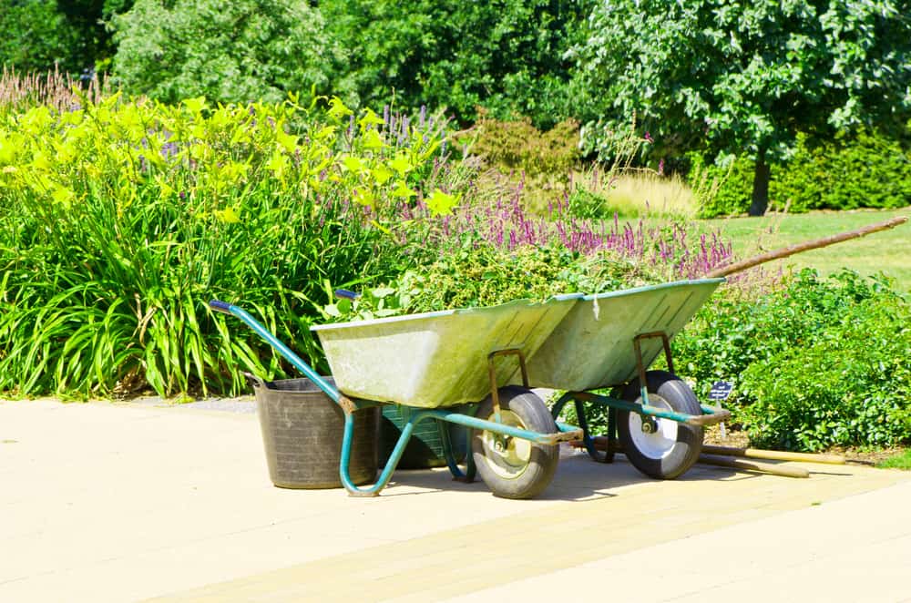 Garden and Flower Bed Preparation for Winter: A Comprehensive Guide