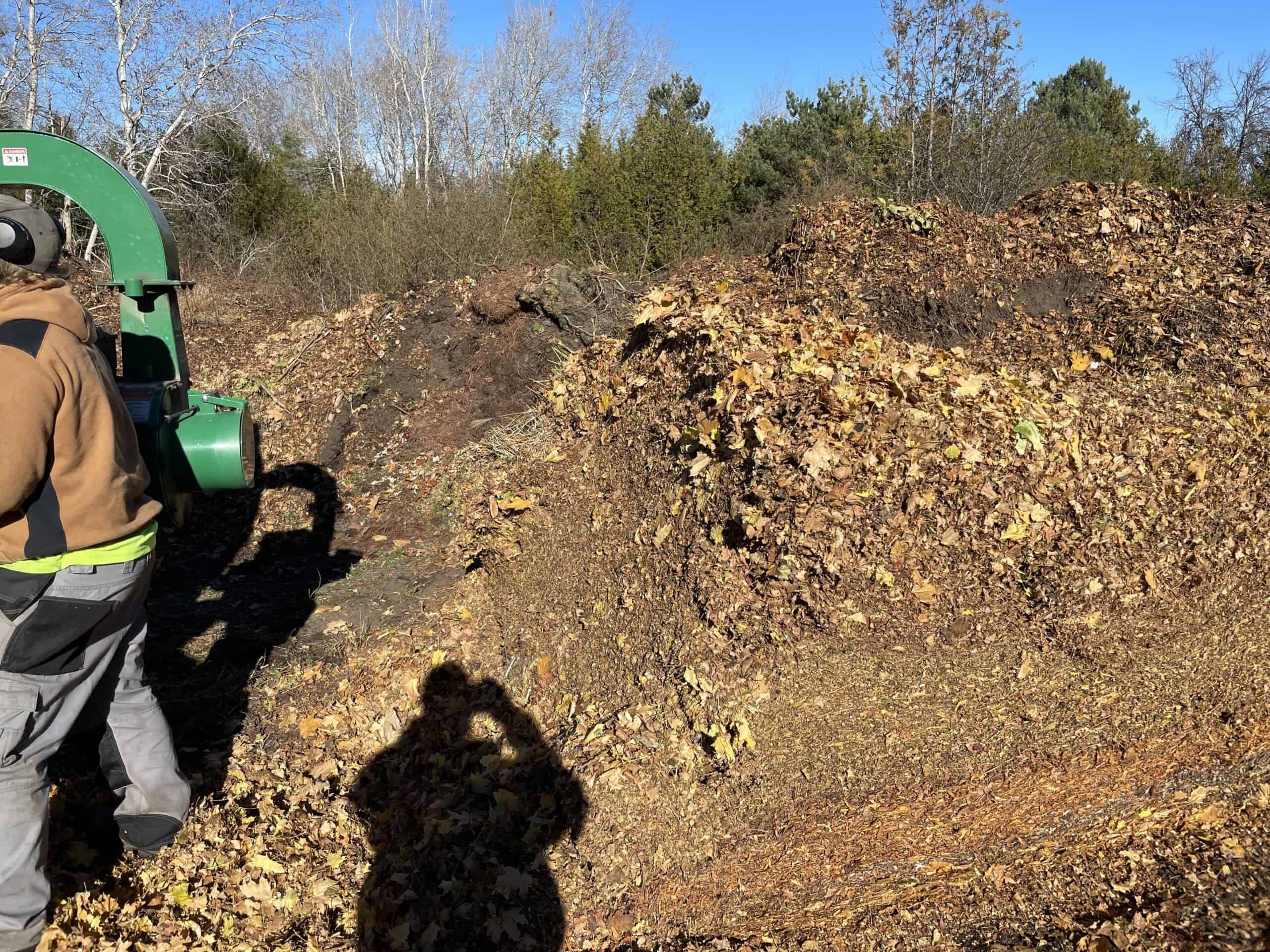 Mr. Trim’s fall cleanup guide to learn why it's essential and how to achieve a pristine lawn for maximum curb appeal.