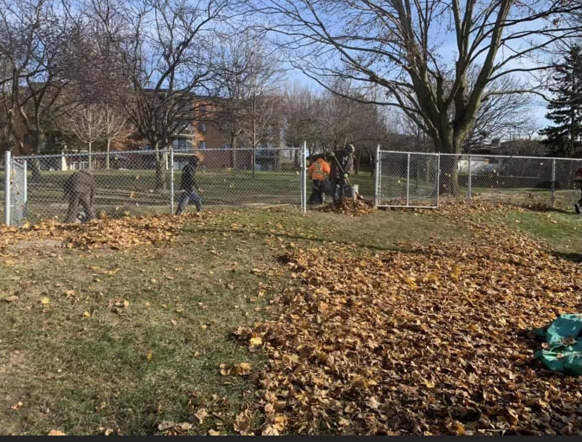 Why DIY when you can have an expert service? Explore the advantages of professional fall cleanup services in Bowmanville, Oshawa, and Whitby.