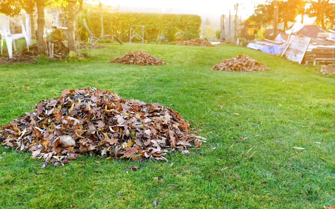 Maintaining Curb Appeal: Fall Cleanup Edition