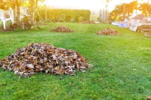 Lawn surrounded by piles of autumn leaves.