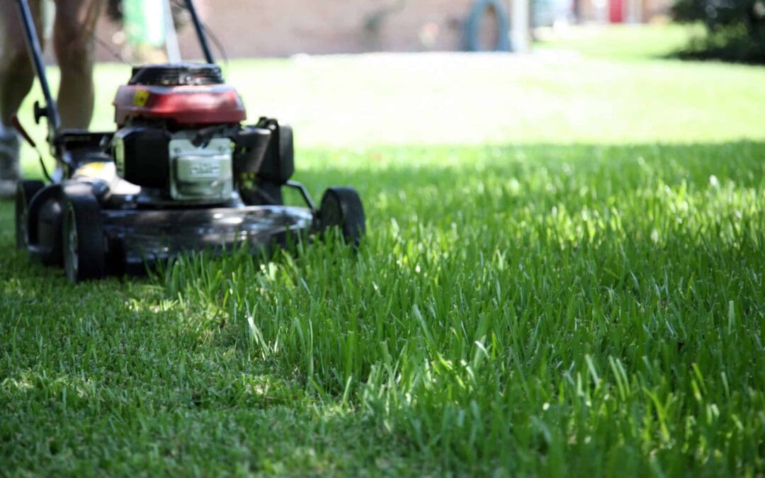 Lawn Mower Maintenance: Everything You Need to Know to Keep Your Lawn Mower Blades in Top Condition