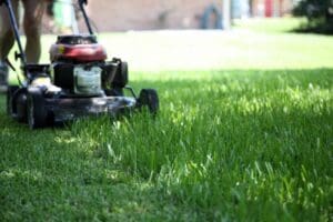 Lawn Mower Maintenance: Everything You Need to Know to Keep Your Lawn Mower Blades in Top Condition