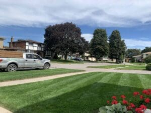 The Secret to Perfect Mowing Height