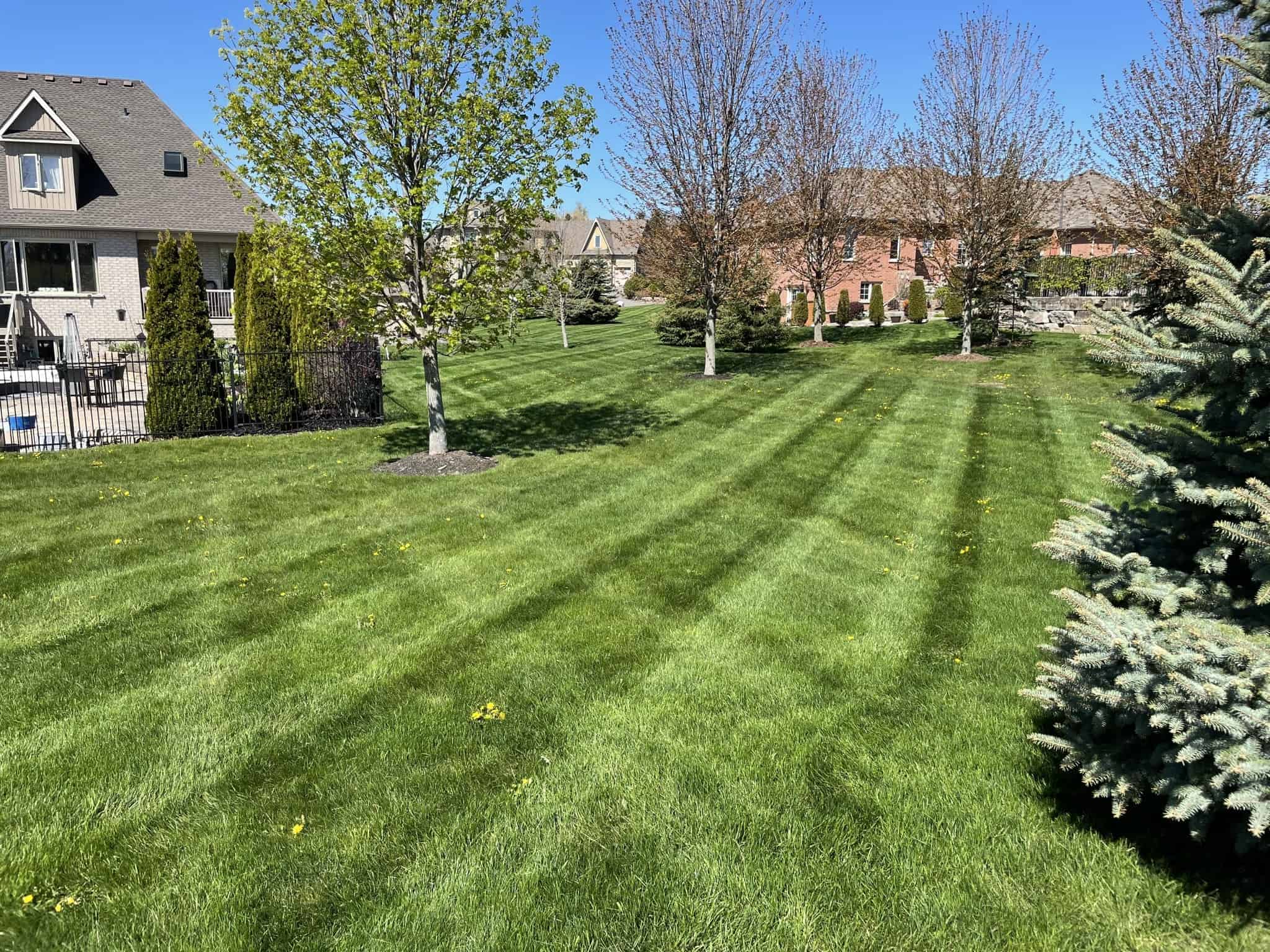 What Are the Benefits of Mowing Your Lawn?