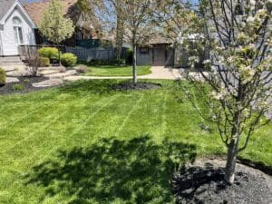 Why Should a Homeowner Hire a Lawn Care Company to Mow Their Lawn?