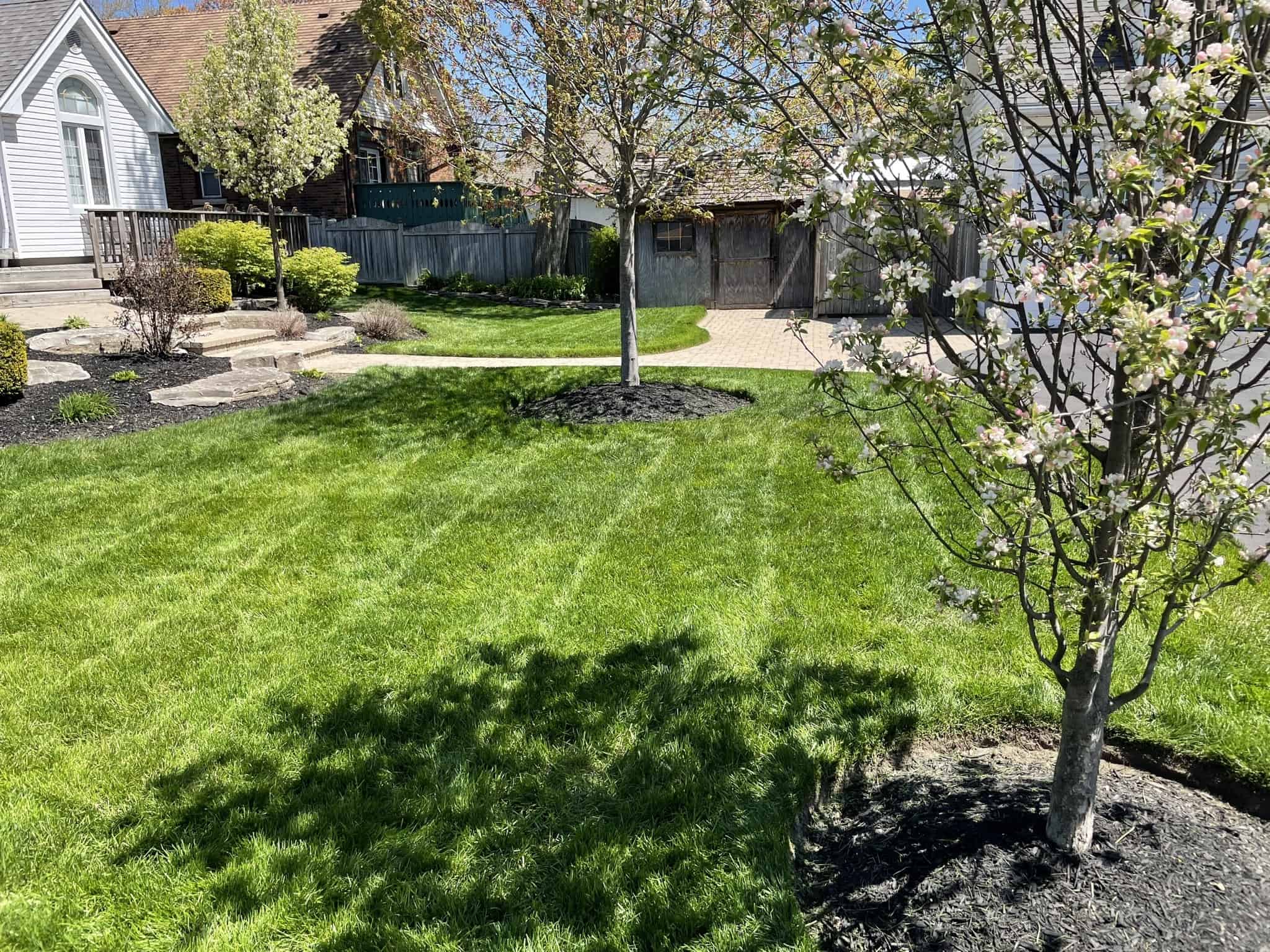 Why Should a Homeowner Hire a Lawn Care Company to Mow Their Lawn?