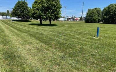 Is Dethatching Worth the Effort? Discover the Benefits of Dethatching a Lawn