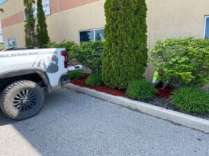 Commercial Garden Maintenance 