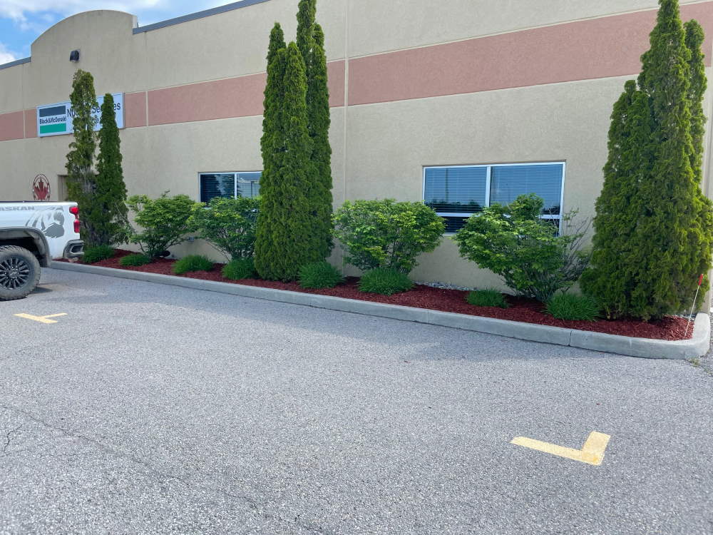 Commercial Landscaping Services Commercial Landscaping Services