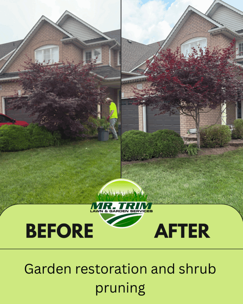garden restoration