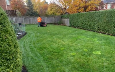 Should You Bag Your Lawn Clippings? Quick Tips to Help You Protect the Health of Your Lawn