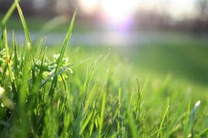 Give Your Lawn the Benefits of Core Aeration